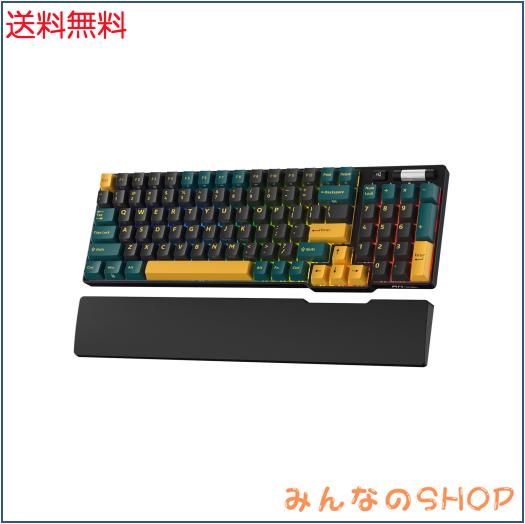 RK ROYAL KLUDGE RK96 RGB 限定版、90% 96 キーワイヤレス 3 モード BT5.0/2.4G/USB-C ホットスワップ可能メカニカルキーボード、リスト
