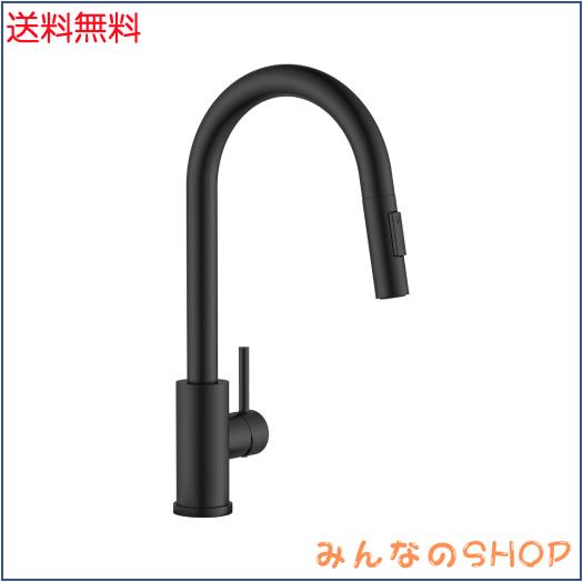 APPASO モダンキッチン混合栓 引き出し式スプレー付き シングルレバー SUS304 ステンレス製混合栓 キッチンシンク用混合栓 日本語説明書