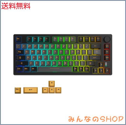 DAREU EK75PRO ゲーミングキーボード 無線 テンキーレス 2.4Gワイヤレス/Bluetooth/有線USB接続可能 81キー 英語配列 ガスケットマウントの通販は