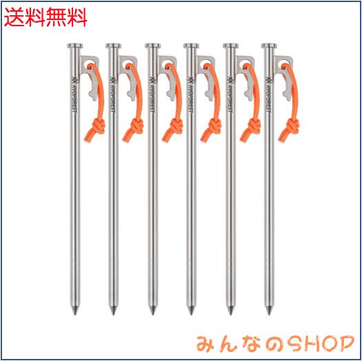 ペグ チタン製 AVOFOREST チタンペグ 太いヘッド 30cm 6本 軽量 高強度 反射材入りロープ付き耐食性 キャンプ テント/タープ設営用 山地
