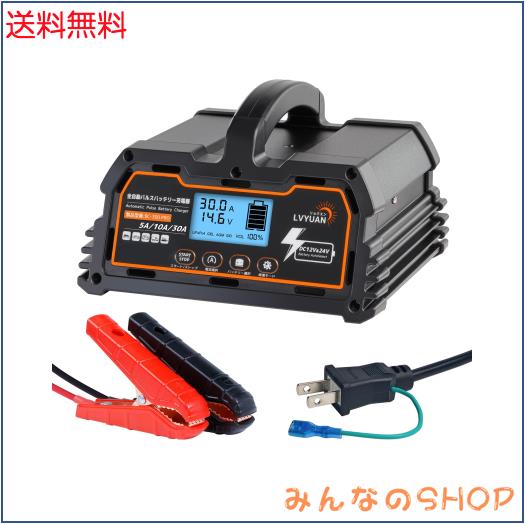 リョクエン（LVYUAN）【正規品】 全自動パルスバッテリー充電器 定格30A 12V/24V鉛/12Vリチウム電池両用 パルス充電器 パルス修復 [ PSE
