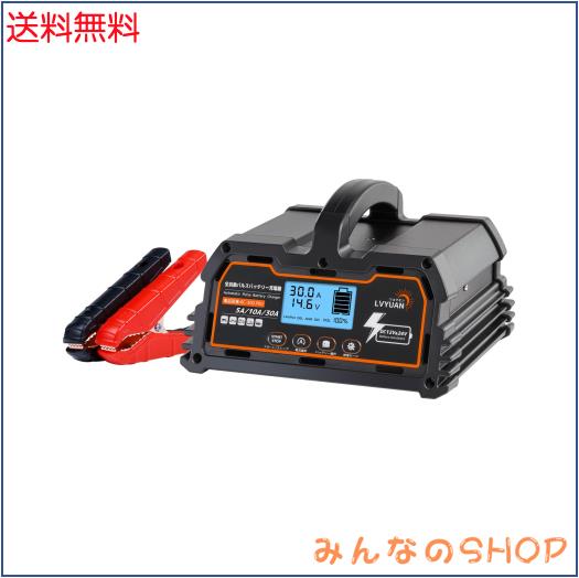 リョクエン（LVYUAN）【正規品】 全自動パルスバッテリー充電器 定格30A 12V/24V鉛/12Vリチウム電池両用 パルス充電器 パルス修復 [ PSE