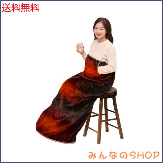 足入れヒーター 2024年 足温器 電気足温器 1〜9時間タイマー 丸洗い可能 省エネ あったか脚入れヒーター 足元 腹 手 膝 全身用 ヒーター