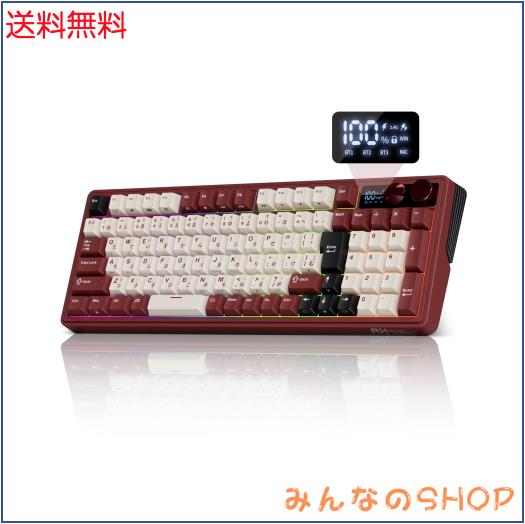RK ROYAL KLUDGE M100 メカニカルキーボード 日本語配列 無線