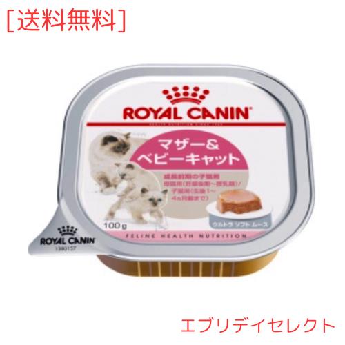 ロイヤルカナン FHN -WET ベビーキャット 猫用 100g×24個