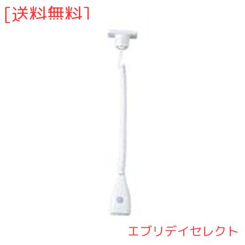 Panasonic WG888281W 2個 リーラーコンセント Panasonic 電設資材 パナソニック WG888281W 露出増設用抜け止め