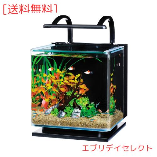 Tetra Living Cube 12 ガラス水槽 Tetra テトラ 水槽セット リビングキューブ LC−12 お一人様