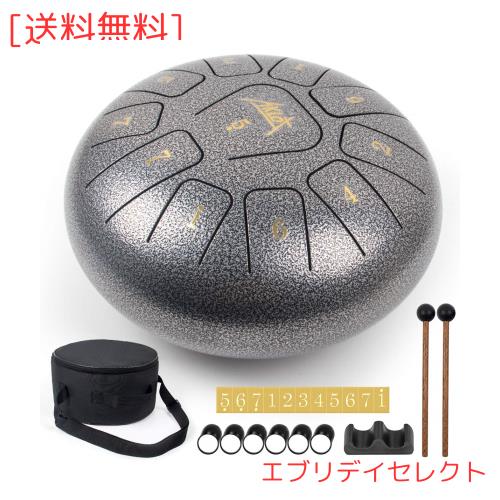 AKLOT スリットドラム, Ｃメジャー タングドラム 10インチ11音 打楽器 スチール製 収納バッグ付き 瞑想・ヨガ・癒し・祈り・治法・疲労療