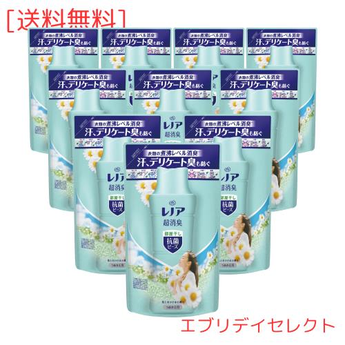 [ケース販売] レノア 超消臭 抗菌ビーズ 部屋干しDX 花とおひさまの香り 詰め替え 430mL×10袋