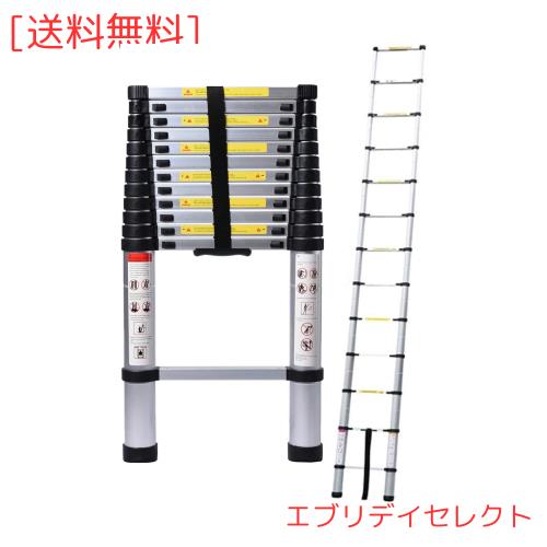 DayPlus 伸縮はしご 最長5 m (16.5 ft) 折り畳み伸縮梯子 多機能アルミはしご 持ち運びに便利 軽量 耐荷重150 kg 室内室外両用 自動ロッ