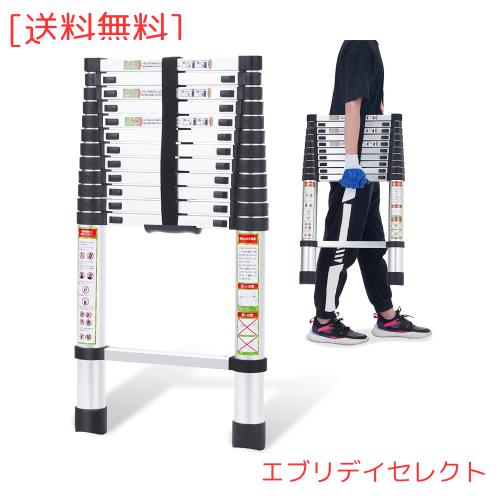 RIKADE 伸縮はしご 耐荷重150kg 軽量 持ち運びやすい 折り畳み 伸縮梯子 多機能アルミはしご 自動ロック スライド式 伸縮自在 梯子 室内