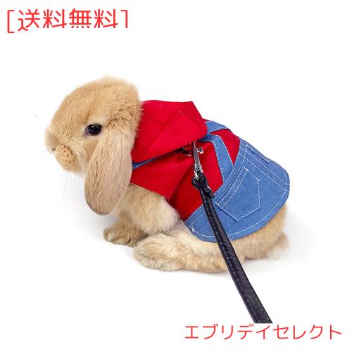 【 ⭕️】nekomimiパーカー&ショートパンツセット 新品未使用✨️ miniministore ショートパンツ カラーパンツ 夏 韓国