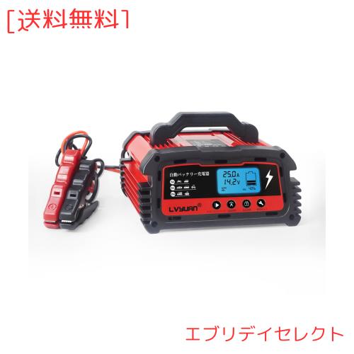 IpowerBingo 自動パルスバッテリー充電器 (DC250)