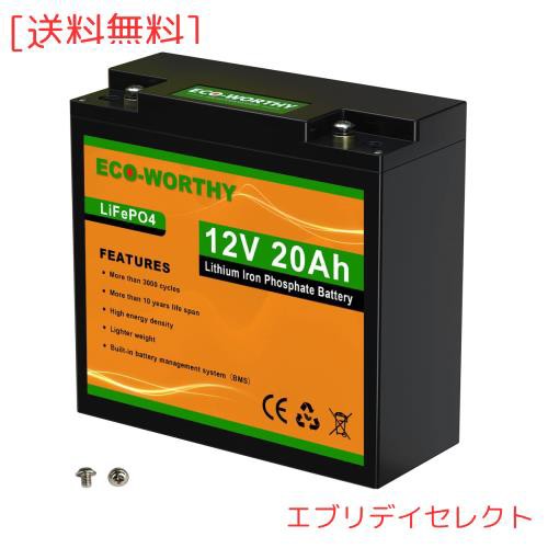 ECO-WORTHY リチウムイオンバッテリー 12V 20AH 256Wh 3000回 BMS保護 RV キャンピングカー 自動車 ソーラーパネル ソーラーシステムの通販は