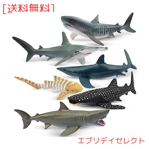 TOYMANY 動物フィギュア 6PCSサメフィギュア 海洋動物フィギュア