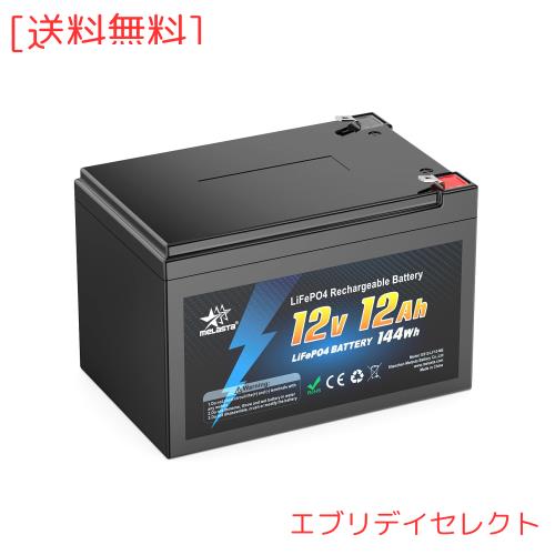 Melasta 12V 12Ah 鉛蓄電池代替用 LiFePO4 リン酸鉄リチウムイオン バッテリー 5000+サイクル 最大1C出力 BMS内蔵 ソーラー/風力蓄電 キの通販は