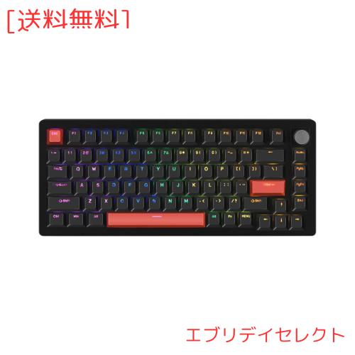 DrunkDeer A75 ラピッドトリガー キーボード メカニカル ゲーミング用 磁気スイッチ PBTキーキャップ ダブルショット 82キー OEMプロファの通販は