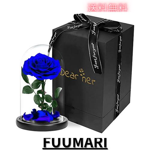 Luckystar Beauty and The Beast Rose本物のバラで手作り保存花、枯れない花、永遠の花、1輪、ガラスギフトボックス入りプリザーブドフラの通販は 9,686円