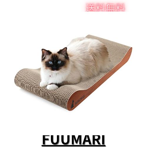 KEN　オテロイ　赤猫　ゴリ猫　超ボールタイプ　コンパクト　9 アガベ チタノタ オテロイ 赤猫 ゴリ猫 超ボールタイプ