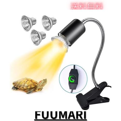 爬虫類 飼育用品一式 水槽 ヒーター ライト レイアウト素材など 両生類