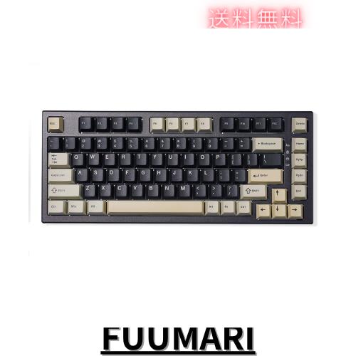 YUNZII YZ75 75% ホットスワップ対応ワイヤレスゲーミングキーボード RGBバックライト BT5.0/2.4G/USB-C、Dye Sub PBTキーキャップ Linuxの通販は 17,383円