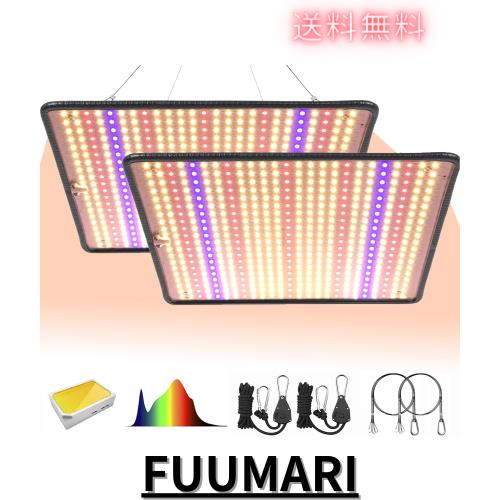 GREENSINDOOR 植物育成ライト LED 植物ライト36W 超薄型 500LEDs フルスペクトル 室内栽培 観葉植物 育成ライト 水耕栽培 多肉植物 育成の通販は 9,707円