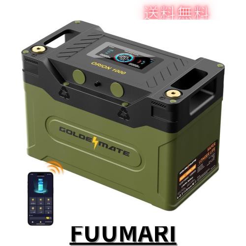 GOLDENMATE 12.8V 100Ah リン酸鉄リチウムイオンバッテリー LiFePO4バッテリー 1280Wh IP67防水 BMS内蔵 5000以上のサイクル 液晶ディス