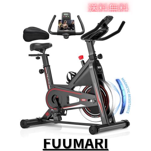 DMASUN エアロバイク 家庭用 静音スピンバイク フィットネスバイク