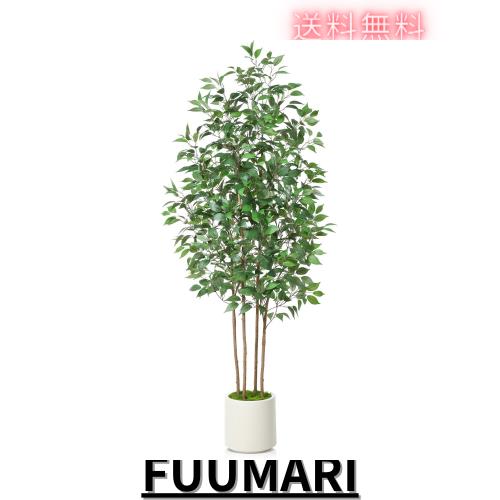 MOSADE ガジュマル プレミアム 光触媒 フェイクグリーン ※鉢は取り外し不可 人工 観葉植物 観葉樹 フェイク 造花 室内 大型 簡単保？ 水の通販は 11,627円