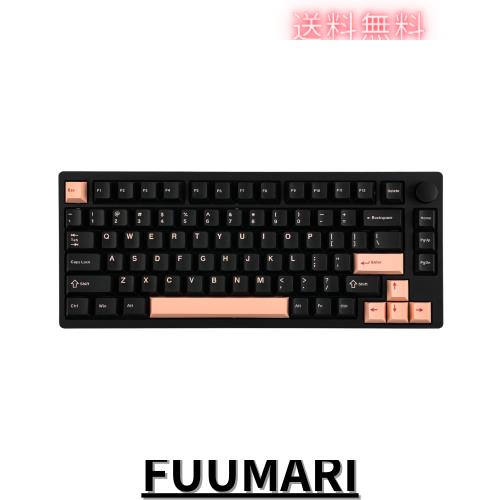 【2024新登場】EPOMAKER P75ワイヤレスアルミメカニカルキーボード Bluetooth 5.0/2.4GHz無線/USB-Cホットスワップ対応カスタムキーボーの通販は 21,573円