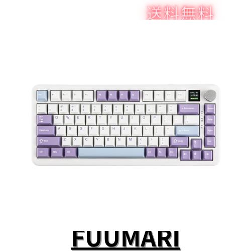 MechLands AJAZZ AK820 MAX HE ラピッドトリガーキーボード 有線/無線ゲーミングキーボード ホール効果ガスケットメカニカルキーボード