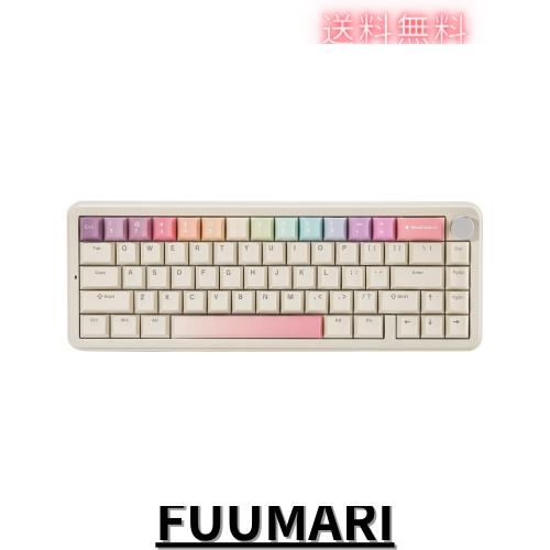 YUNZII B68 65％ ワイヤレスメカニカルキーボード ゲーミングキーボード BT5.0/2.4GHz/有線 ホットスワップ対応 ガスケットキーボード RGの通販は