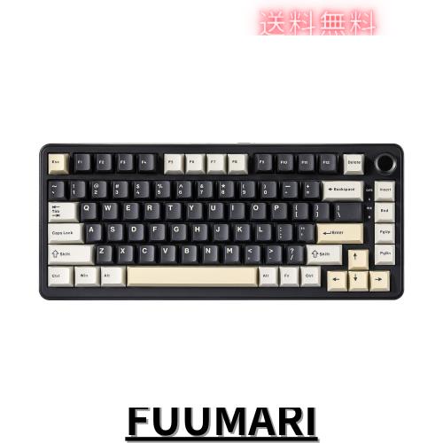 YUNZII B75 75% 有線 メカニカルキーボード ホットスワップ対応 ガスケット搭載 RGBバックライト 高耐久 英語配列 PBTキーキャップ チェ