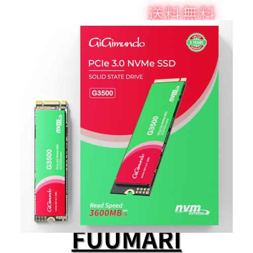 GiGimundo G3500 SSD【業界新登場】2280 2TB NVMe PCIe Gen3.0x4 3D NAND搭載/HMB採用/Trim機能 最大読み出し3600MB/s 最大書き込み2400Mの通販は