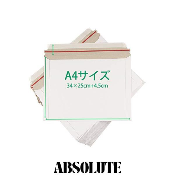 10枚入)厚紙封筒 A4対応 パック クリックポスト ゆうパケット ゆう