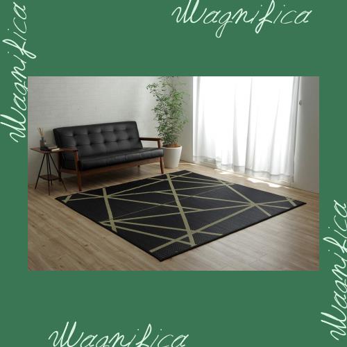 イケヒコ・コーポレーション い草 ラグ Fレヴィン ブラック 約191×250cm ふっくら 裏付き 日本製 #8245839の通販は 16,792円