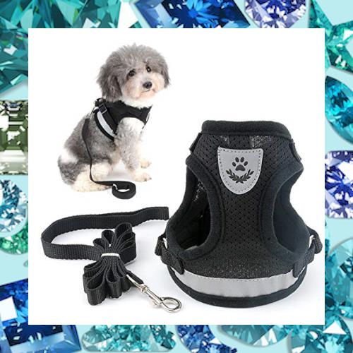 メッシュ 犬用 ハーネス 胴輪 リード セット 超小型犬 小型犬 子犬 猫 散歩 RANPHY メッシュ 犬用 ハーネス 胴輪 反射材料付き リード セット 超