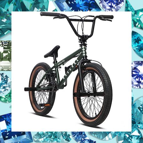AVASTA BacchusBMX 自転車 20インチ フリースタイルBMXバイク スチール