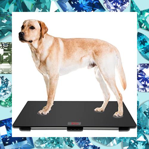MINDPET-MED ペットスケール 大型犬用 動物用スケール 滑り止めマット付き プラットフォームスケール 耐荷重220ポンドまで 風袋引き/ホー
