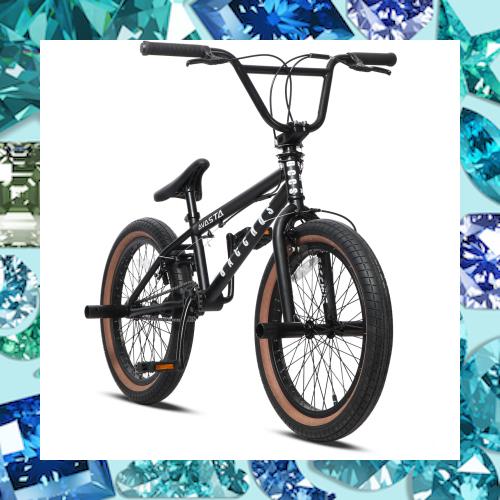 AVASTA BucchusBMX 自転車 20インチ フリースタイルBMXバイク スチール