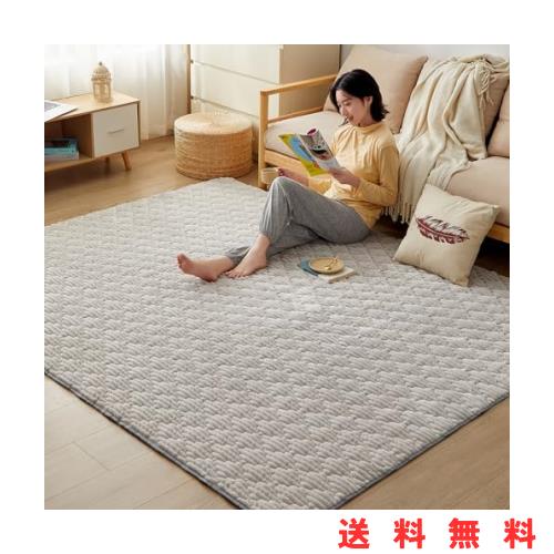 CHOSHOME カーペット ラグ 極厚25mm ラグマット 2畳 絨毯 厚手 ラグ 滑り止め 防音 ふわっと手触り 撥水加工 北欧 洗える フランネルラグの通販は 6,779円