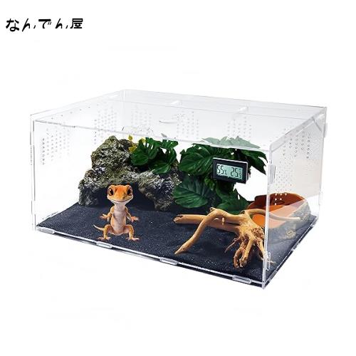 Niesporek 爬虫類 ケージ トカゲ ケージ カナヘビ飼育ケース  