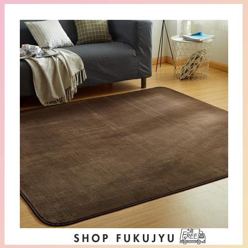 VK Living カーペット ラグ ラグマット 絨毯 200×300cm(約4.5畳) 洗える 滑り止め付 防ダニ 抗菌 防臭 1年中使えるタイプ 床暖房 ホットの通販は 5,738円