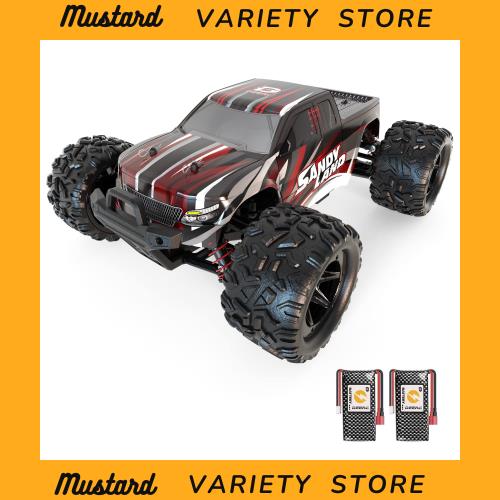 DEERC ラジコンカー 電動RCカー オフロード 4WD 高速 40km/h 1/18 2.4Ghz レーシング 防振 耐衝撃 防水 乗り越え バッテリー2個 40分間走