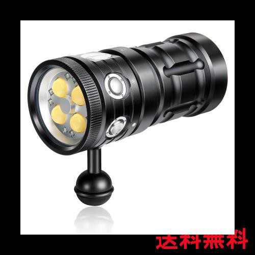 シマノ(SHIMANO) ベイトリール 両軸 18 バルケッタ SC 800 アジ
