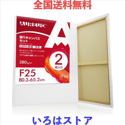 AUREUO 張りキャンバス セット F25 (80.3cmX65.2cm) 中目 100％コットン 2枚 初心者 絵画用具 芸術絵創作 現代油絵 美術装飾 水彩画・油