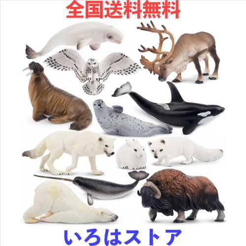 TOYMANY 12PCS動物フィギュア 北極動物フィギュアセット 北極圏 リアルな極地動物模型 モデル 人気動物 おもちゃ 玩具 誕生日プレゼント