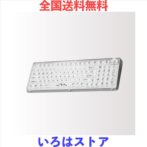 OUSEITECH X EWEADN V99 ゲーミングキーボード メカニカル 透明キーボード 透明キーキャップ 99キー ワイヤレス ホットスワップ対応 RGB