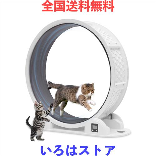 テラスカイ UV スライド 10W エキゾテラ LED ライ 爬虫類 目玉セール