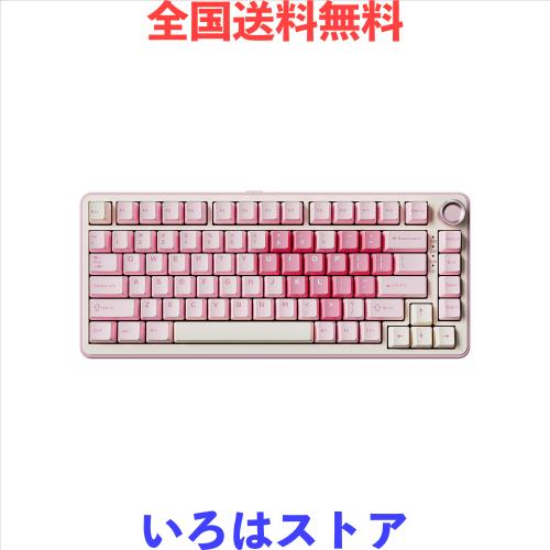 YUNZII B75 PRO 75% ガスケットゲーミングキーボード 無線メカニカルキーボード BT/2.4G/有線 ワイヤレス ホットスワップ 搭載 RGB ノブ